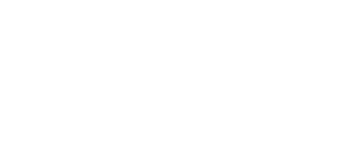 Fibosa